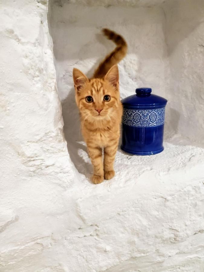Sugar Blue Διαμέρισμα Mykonos Town Εξωτερικό φωτογραφία
